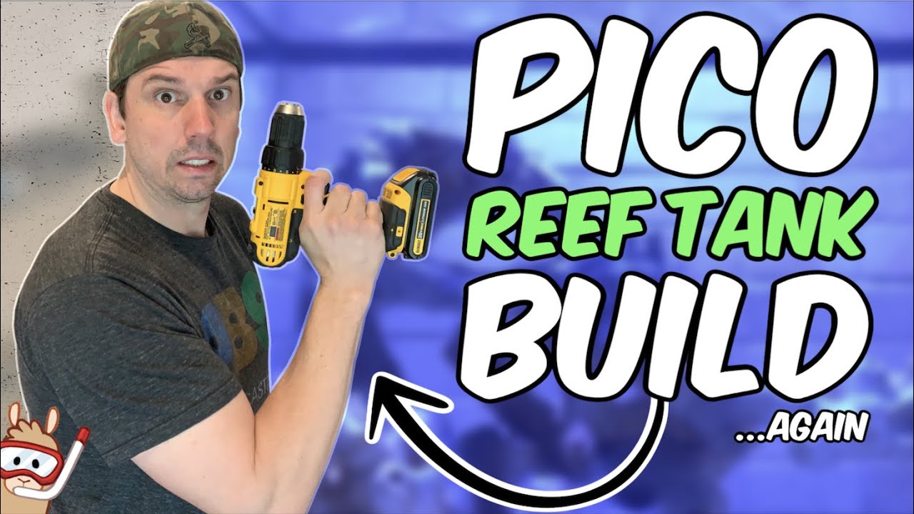 Setting Up the Pico Reef Tank With a New Stand