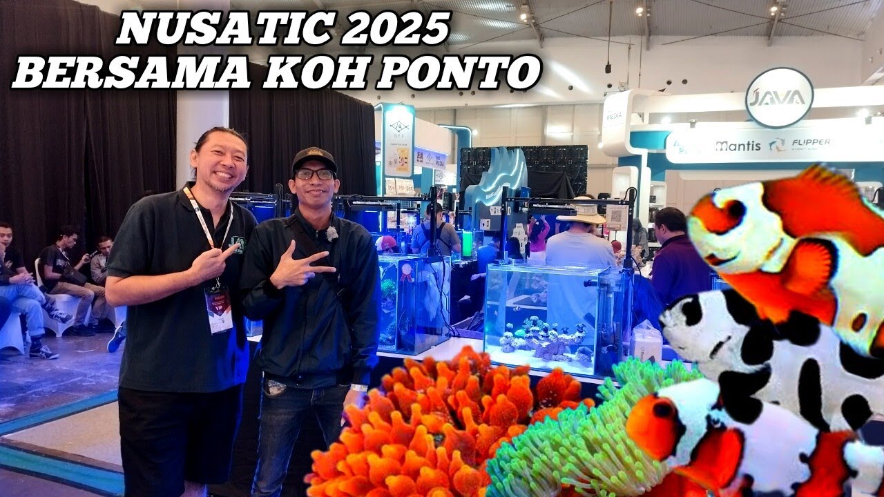 REVIEW REEF TANK KONTES NUSATIC 2025 BERSAMA KOH PONTO