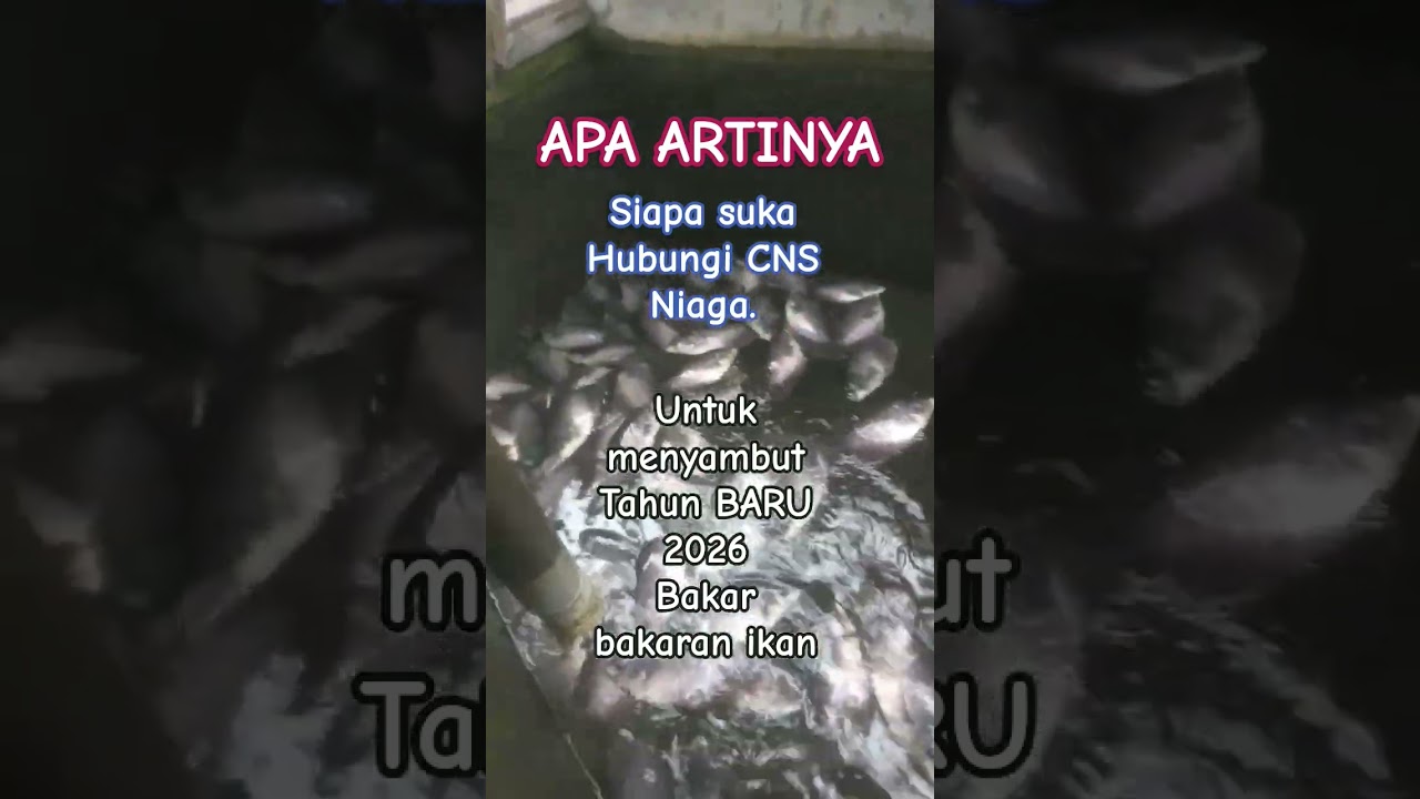 CNS NIAGA, KOTA PROBOLINGGO Jawa Timur Indonesia 👍