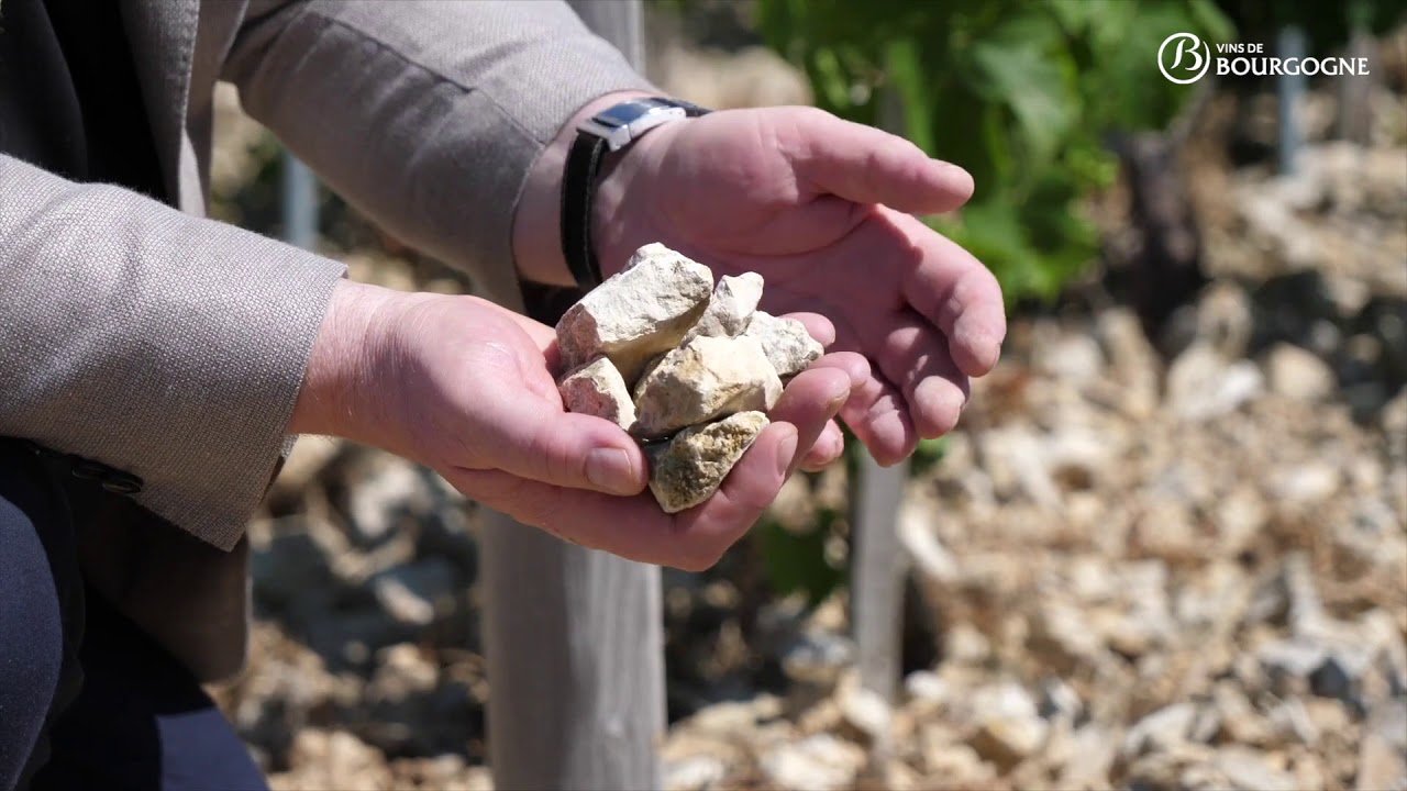 Chablis, En film om en liten storslagen vinregion