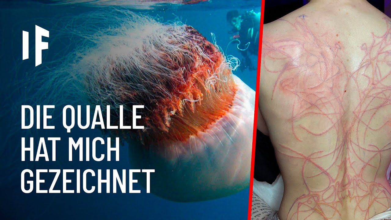 Wie &uuml;berlebt man die 10 krassesten Quallen?