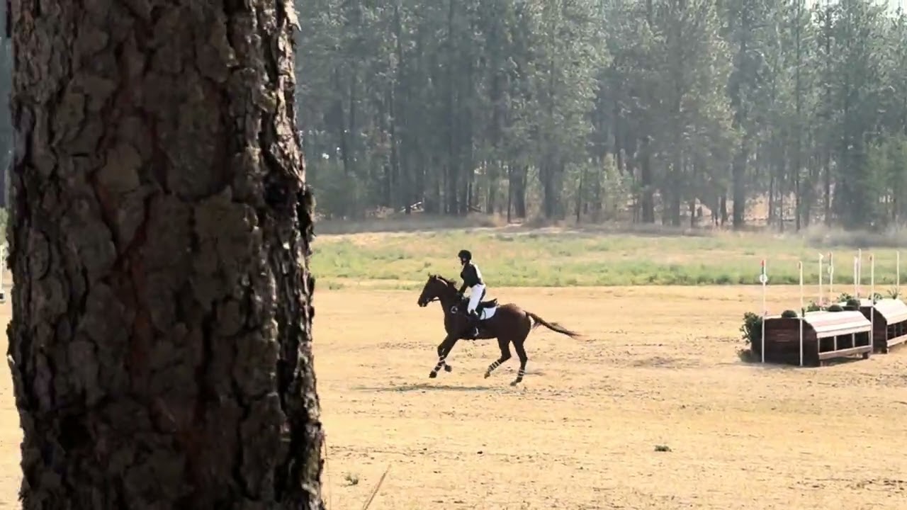 Intense and Zoe Weide at 2025 Fall Spokane Sport Horse Trial