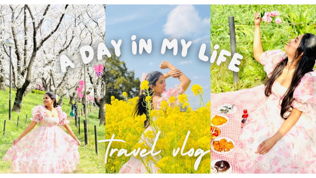 ජපානයේ වසන්ත කාලය හැඩ කරන සකුරාව 🌸 picnic concept with සකුරා 💗🌸 @ApsaraMallawaarachchi-g6k