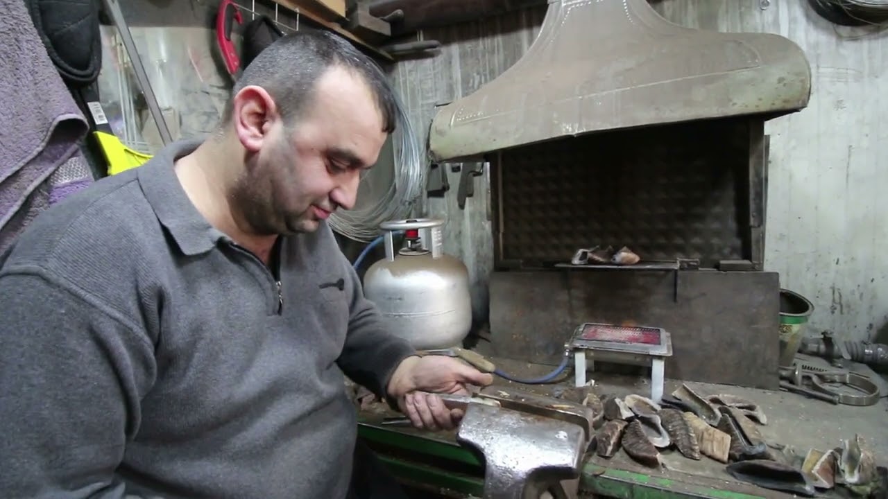SİVAS MRKEZ 1.BÖLÜM