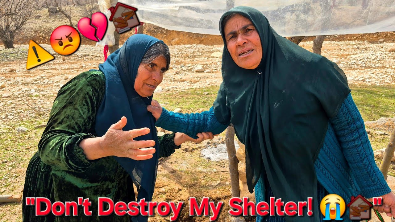 Для бабушки это настоящий кошмар; неужели владелец приюта её погубит?