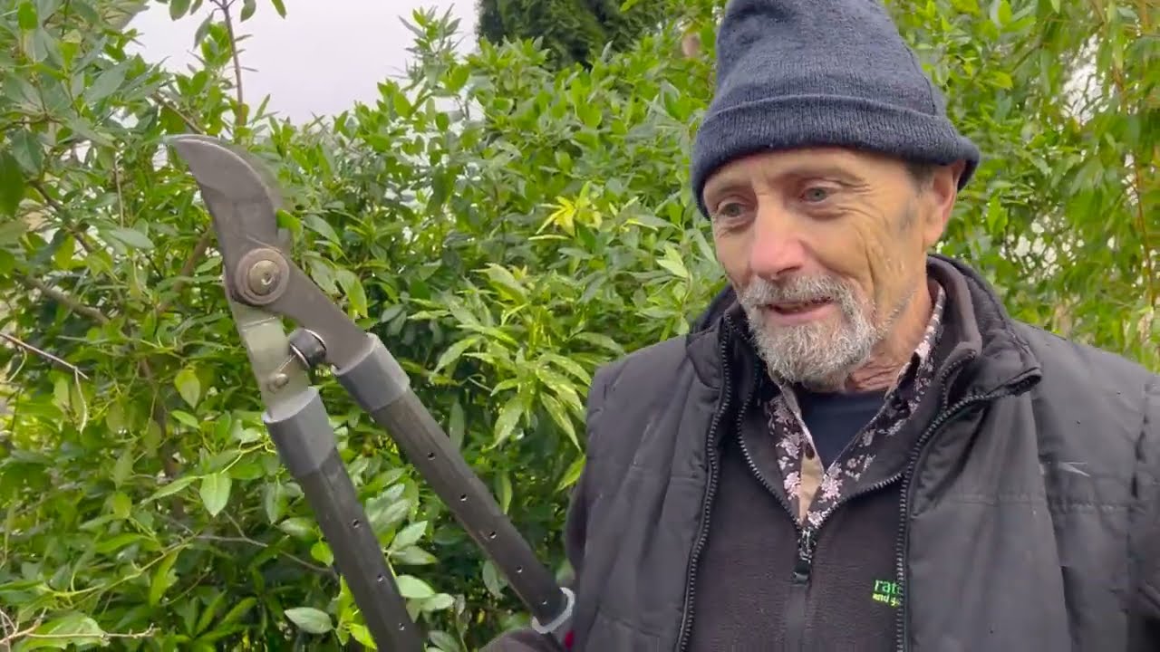Cutting Back Allows Other Plants to Grow
