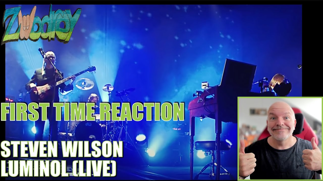 Steven Wilson - Luminol - Live - (Reaction!) - Prog Rock in Perfection!