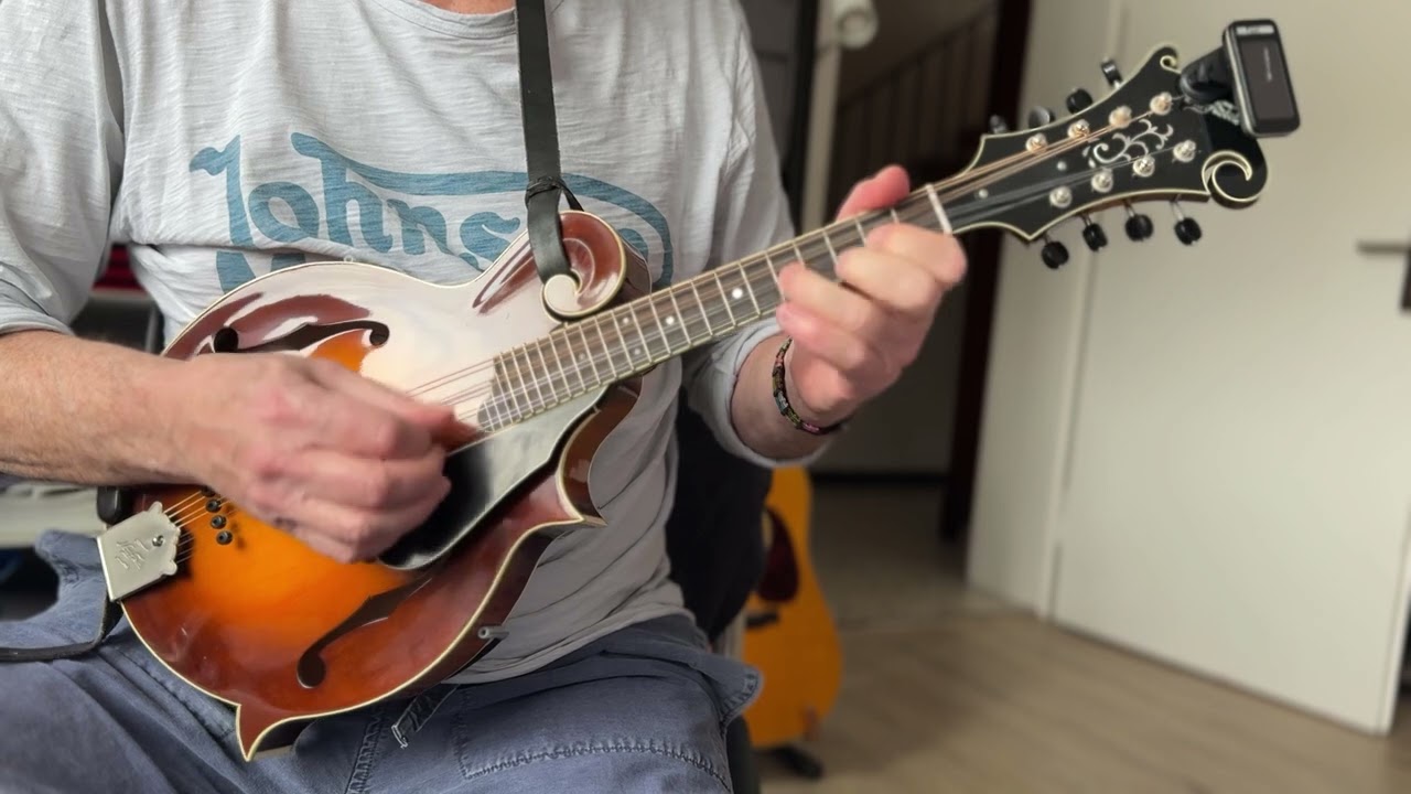 The Lilting Banshee - Mandolin