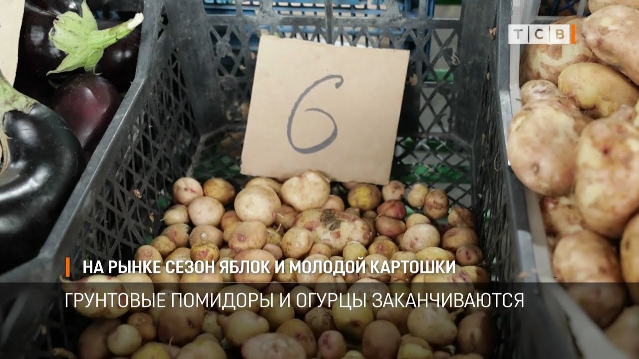 На рынке сезон яблок и молодой картошки