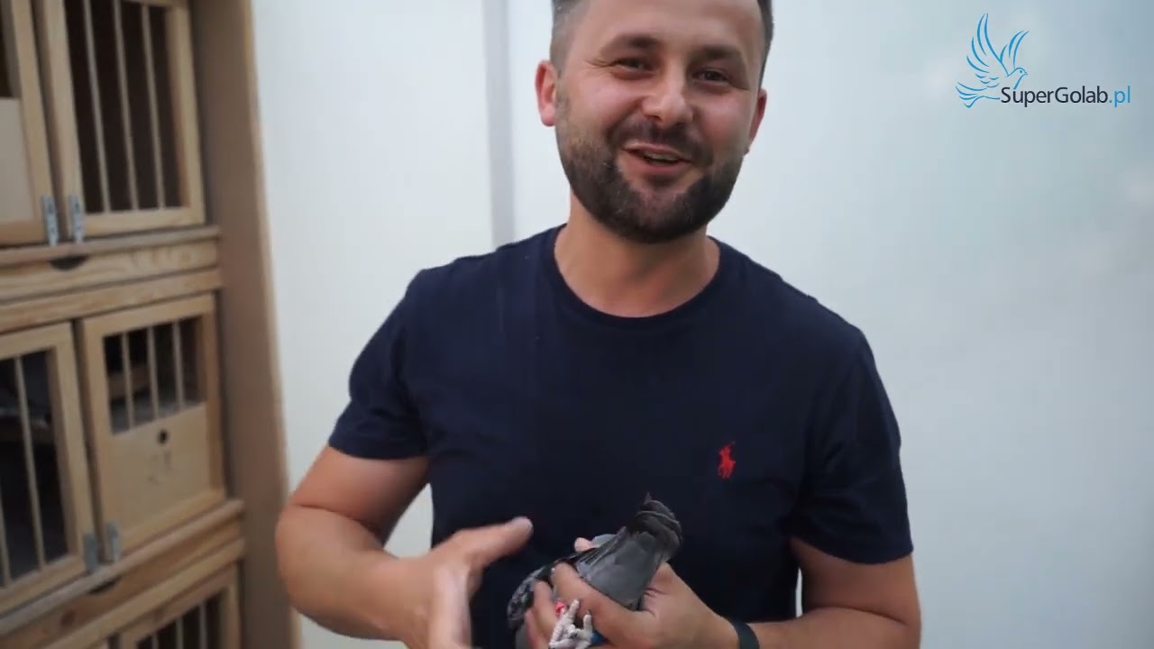 Marcin Jania gołębnik rozpłodowy na miarę mistrzów