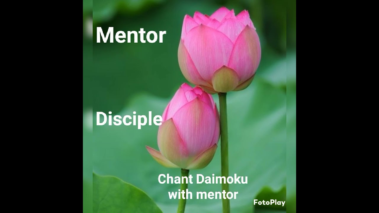 Chant with Sensei 