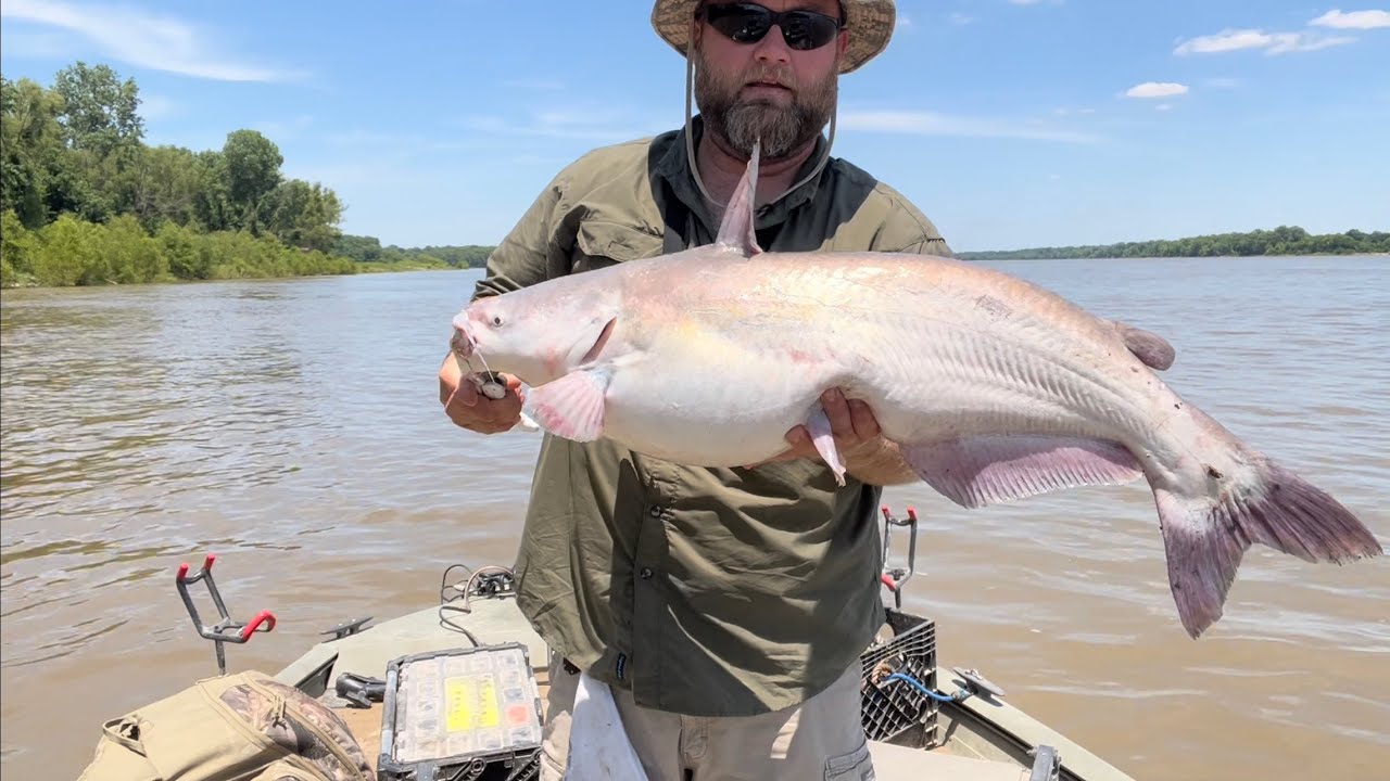 Bump Fishing on the Mississippi River…. Here’s how I do it.