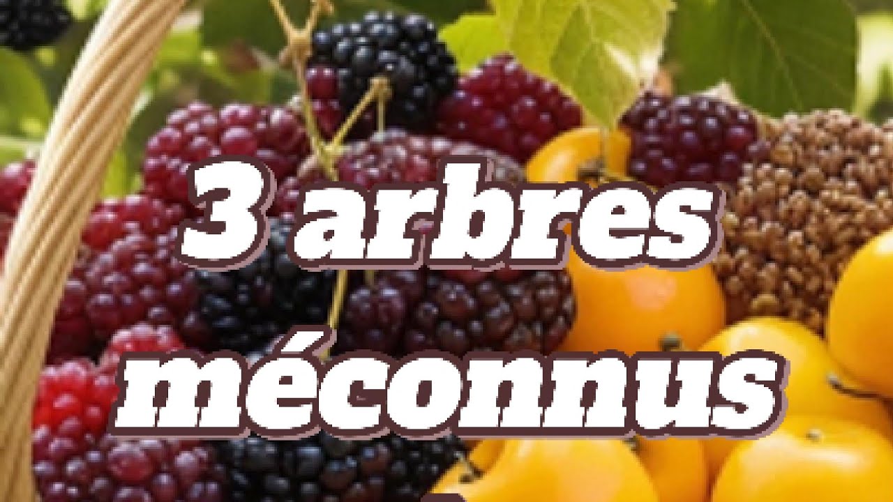 #Permaculture #potager #jardinage #&eacute;cologie #murier #cerisier #saule #crevette #arbres #resilience
