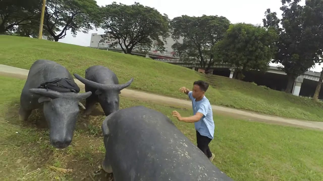 Ponytail Parkour By: Jeremie Bellen