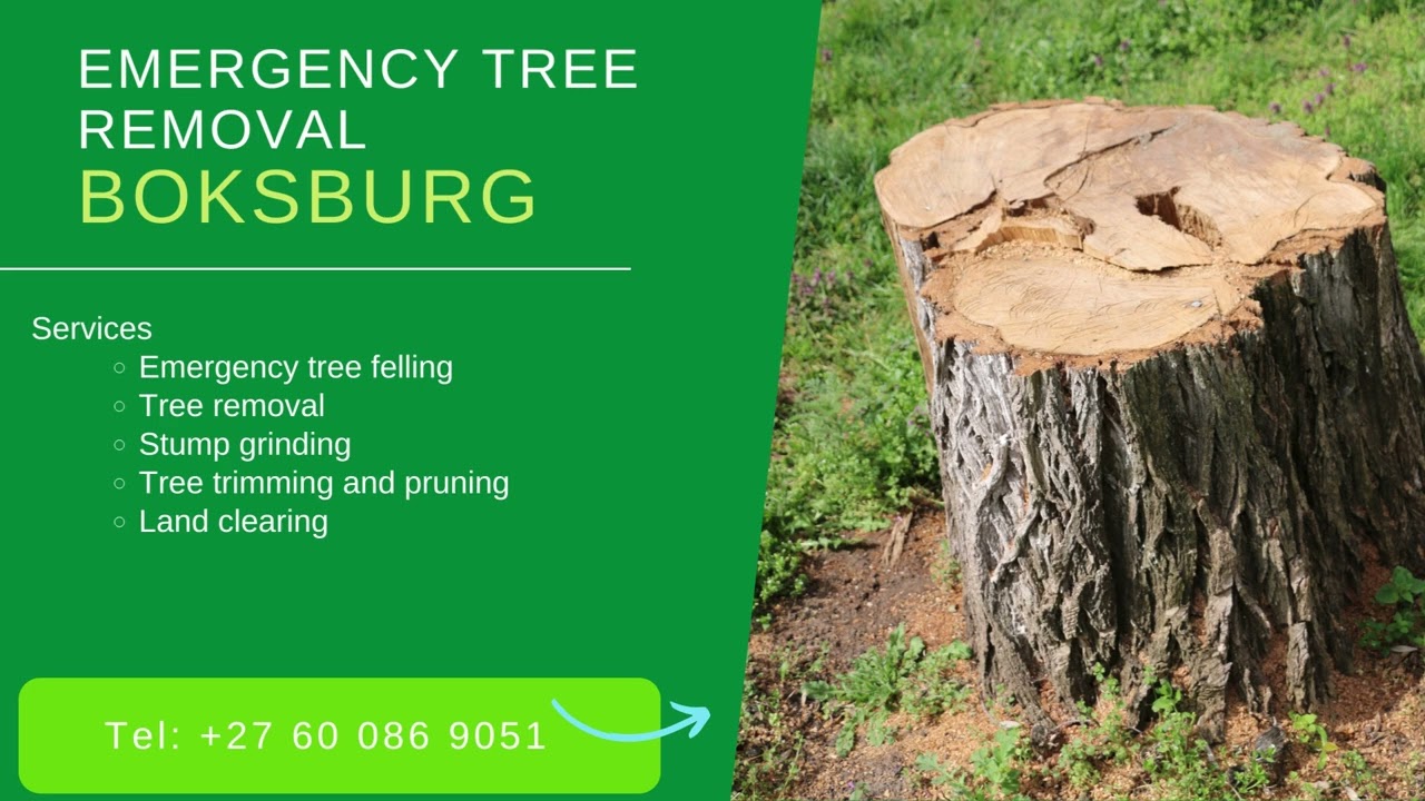 Emergency Tree Removal Boksburg