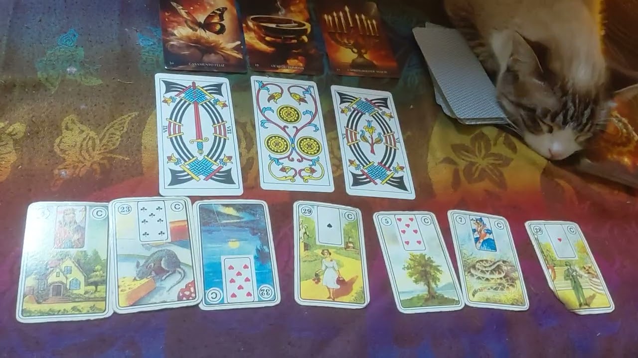 Dona Sete tem uma mensagem importante pra te passar, escute com atenção! 