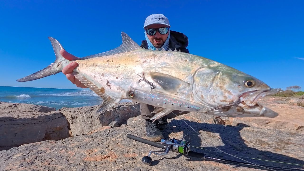 Pesca a SPINNING / LECCIE AFFAMATE vicino Costa.