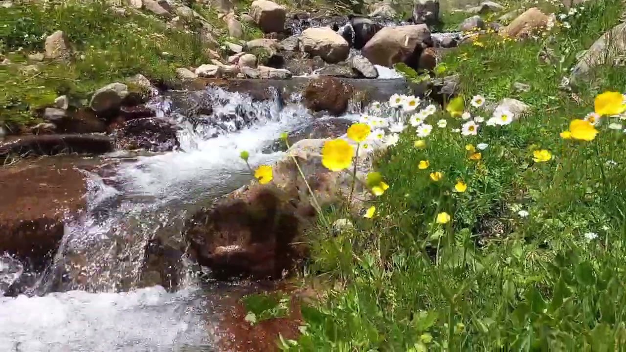 Sivas koyulhisar aksu ķöyü bağlama baş yayla