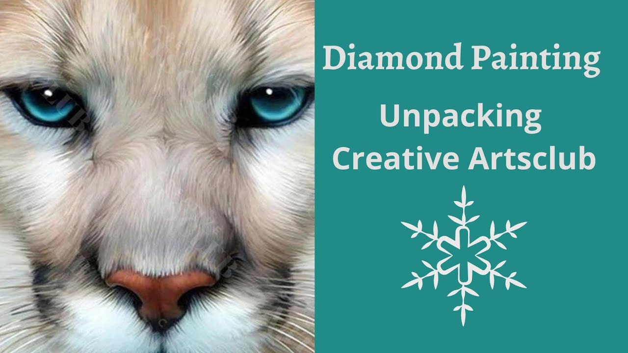 Diamond Painting  / Adventskalendertürchen Nr. 6 / Unboxing Creative Artsclub