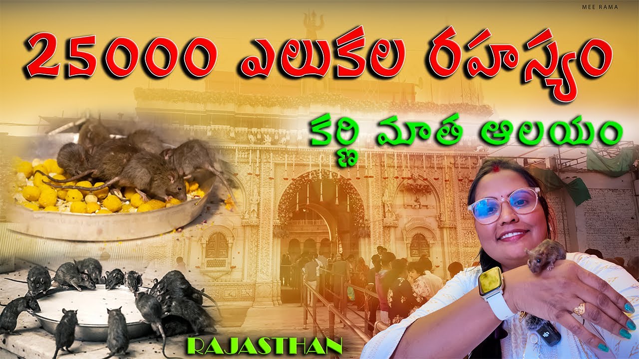 Deshnok Karni Mata Mandir | karni Mata ki Kahani | Karni Mata mandir Deshnok Bikaner Rajasthan