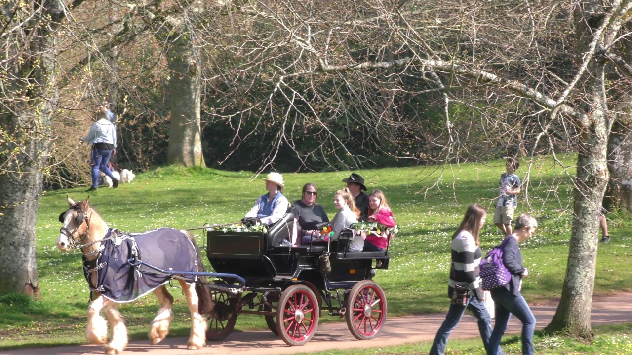COCKINGTON COURT: COUNTRY  PARK TORQUAY   IN 4K