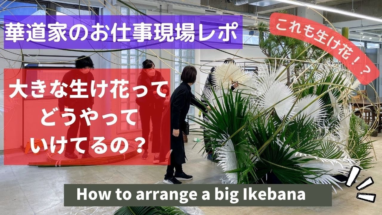 【生け花の世界】大きな生け花って何？どうやっていけてるの？　華道家・花のお仕事現場より(華道家・大谷美香）
