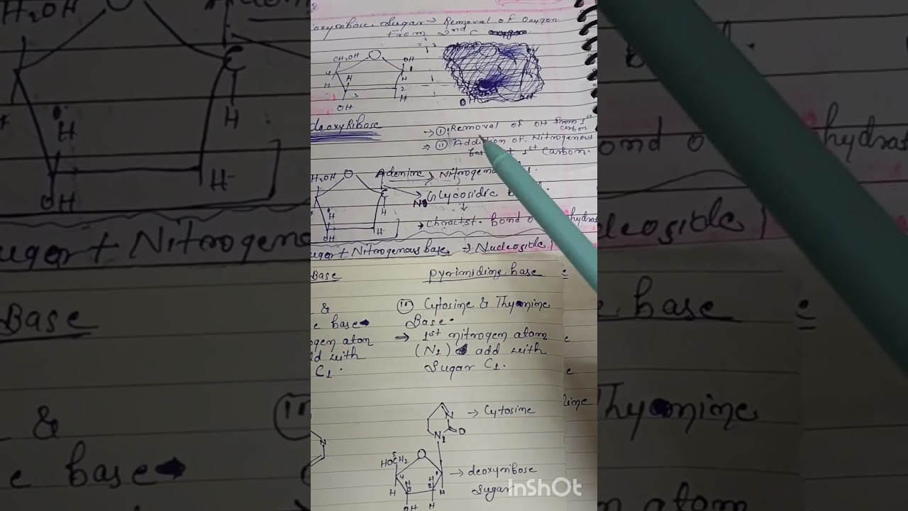 Molecular basis of inheritance.....#nucleoside #molecular #neetaspirents #shortvideo #trending #neet