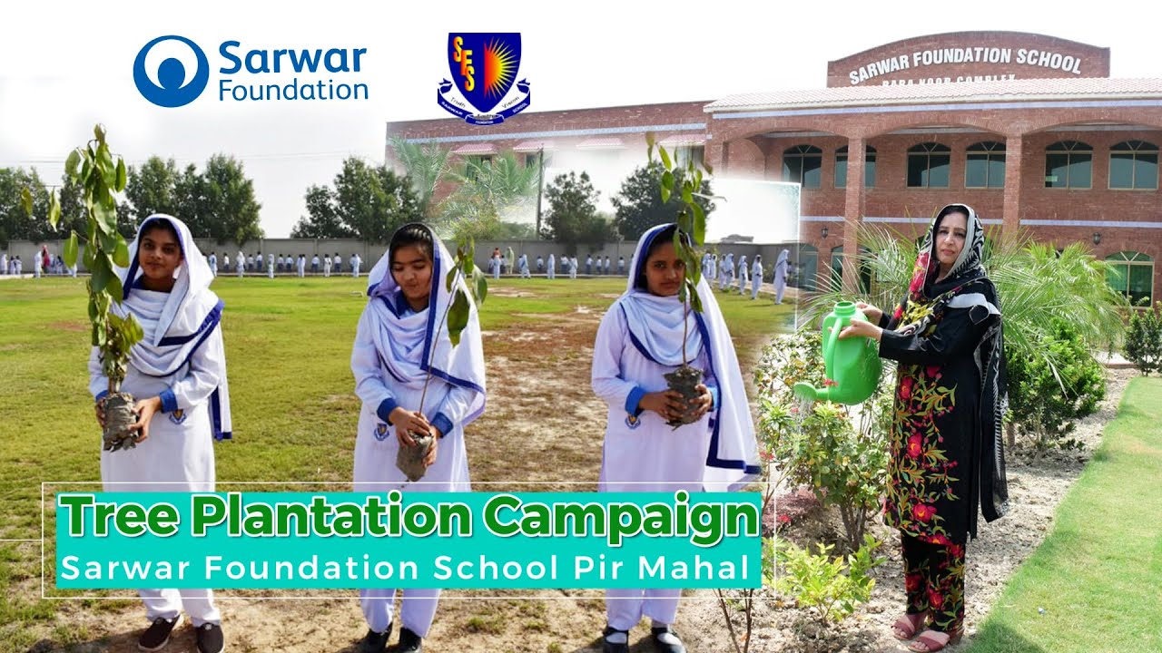 Tree Plantation Campaign | Sarwar Foundation School | Pir Mahal | Donate to Support our Campaign