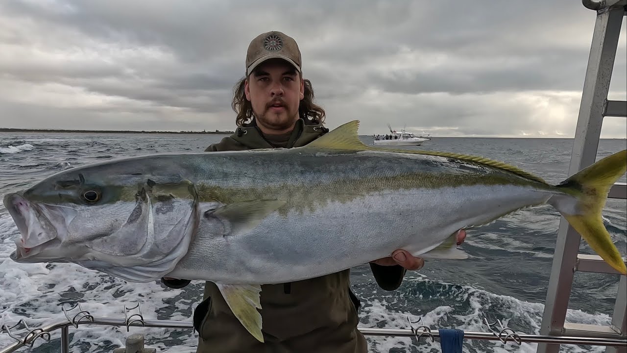 Fishing for BIG Kingfish in the RIP
