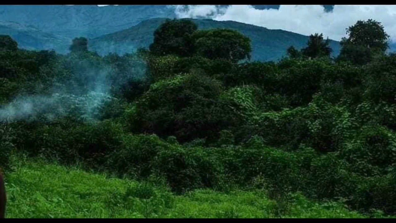 Nyâla níŋ koo ná kááyó - تور باري