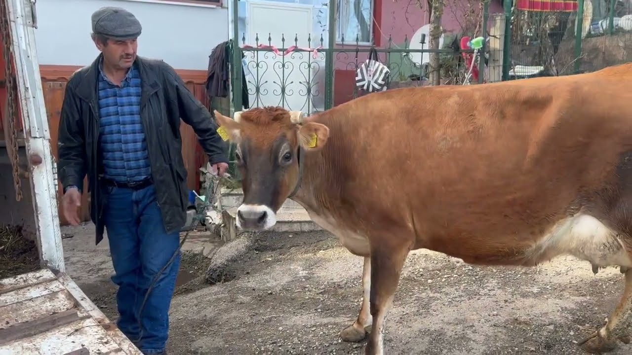 KORKUTAN ALIŞVERİŞ..