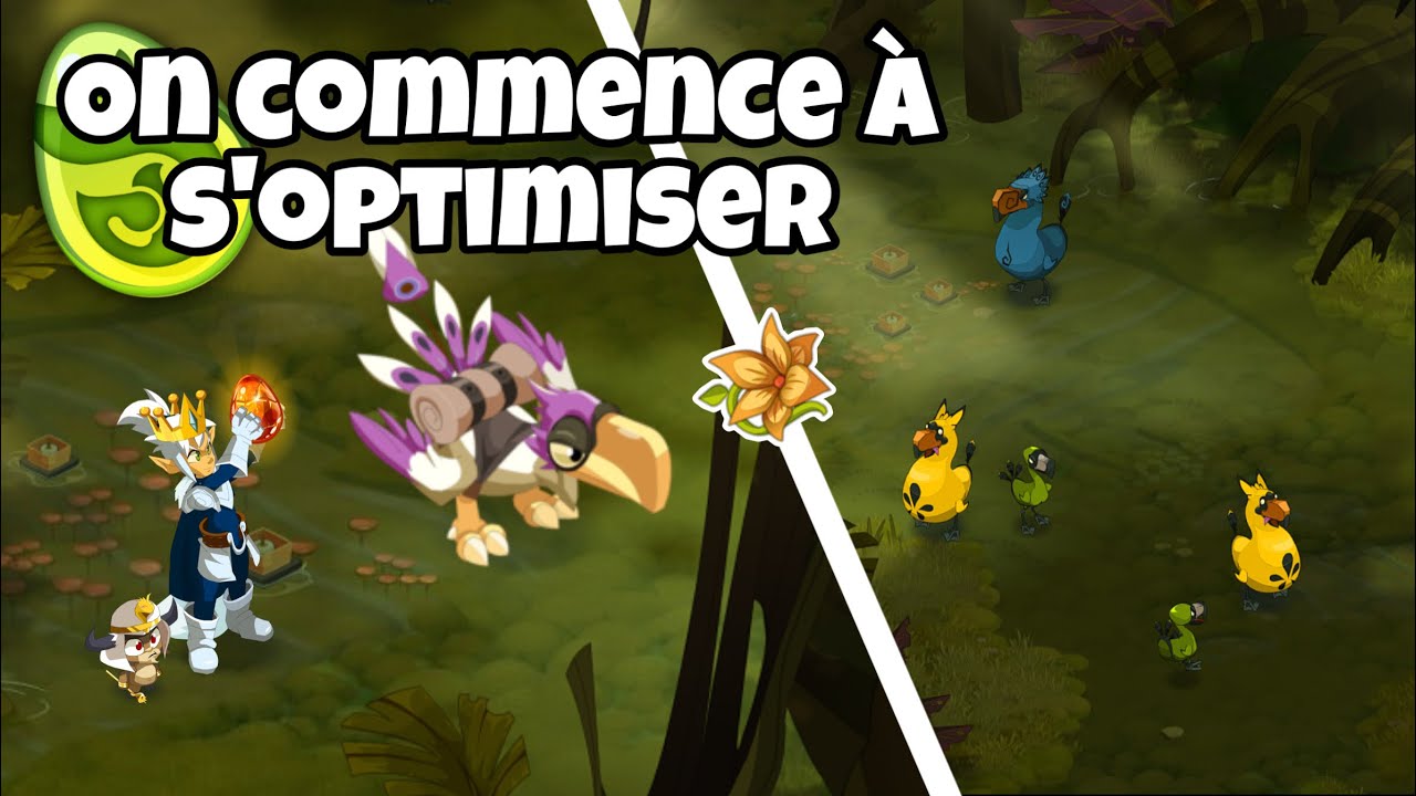 L’Objectif Familier Monté reprend de plus belle - DOFUS Touch
