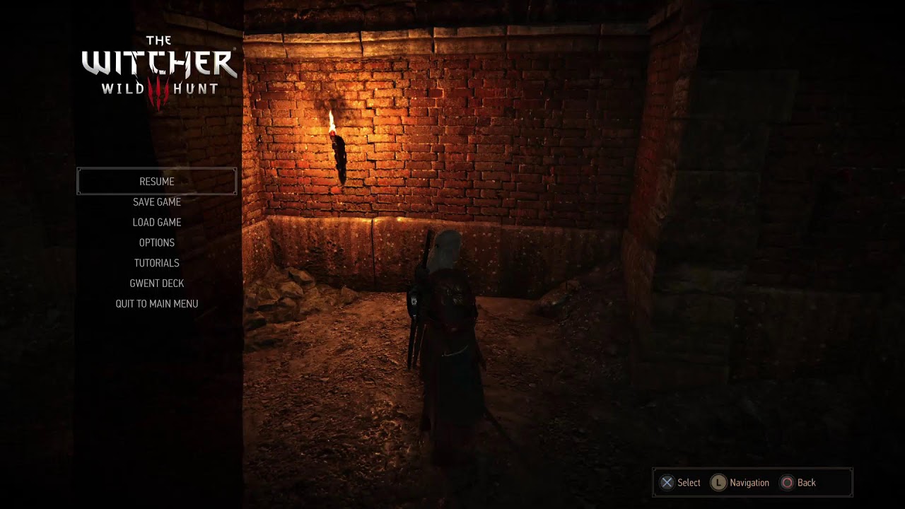 Witcher 3 Wild Hunt
