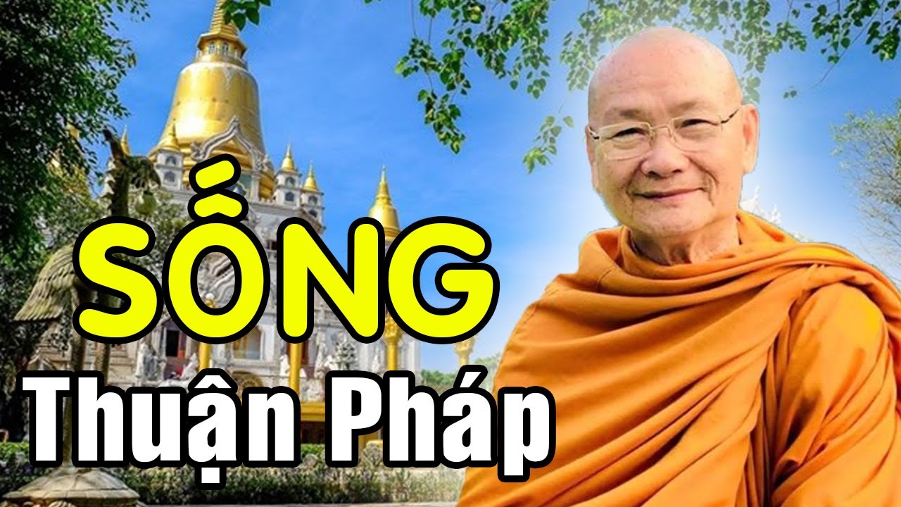Pháp Tu Cụ Thể SỐNG NHƯ THẾ NÀO ĐỂ THUẬN PHÁP - HT Viên Minh Giảng | Phật Pháp Vấn Đáp