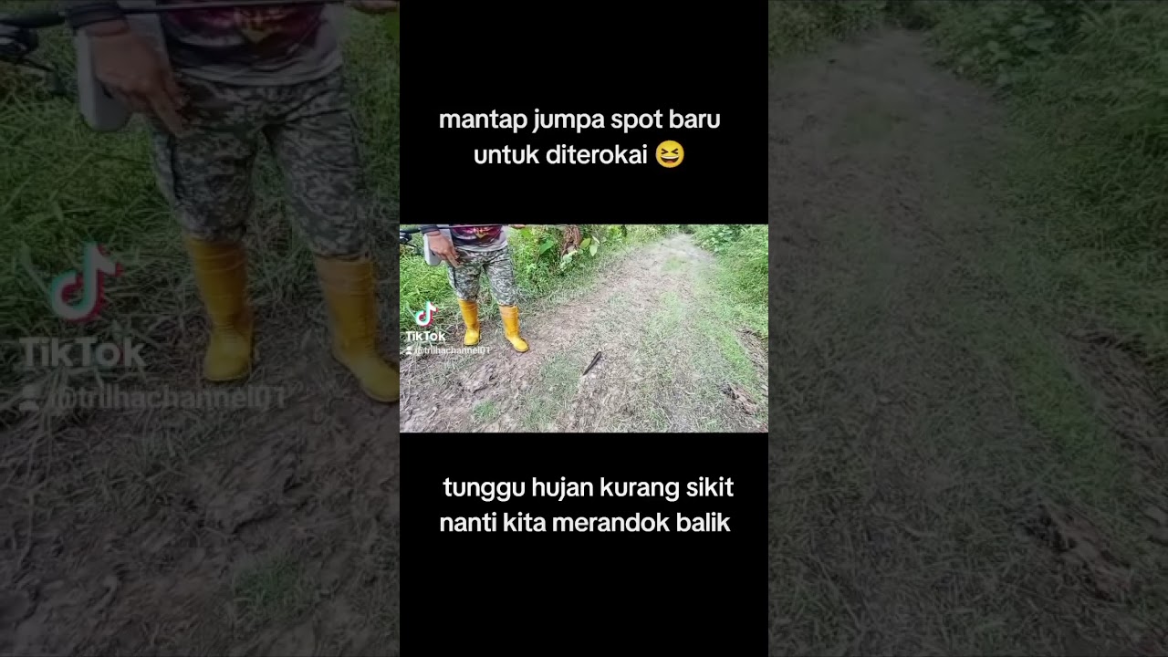 Spot cantik mestik ikan cantik 