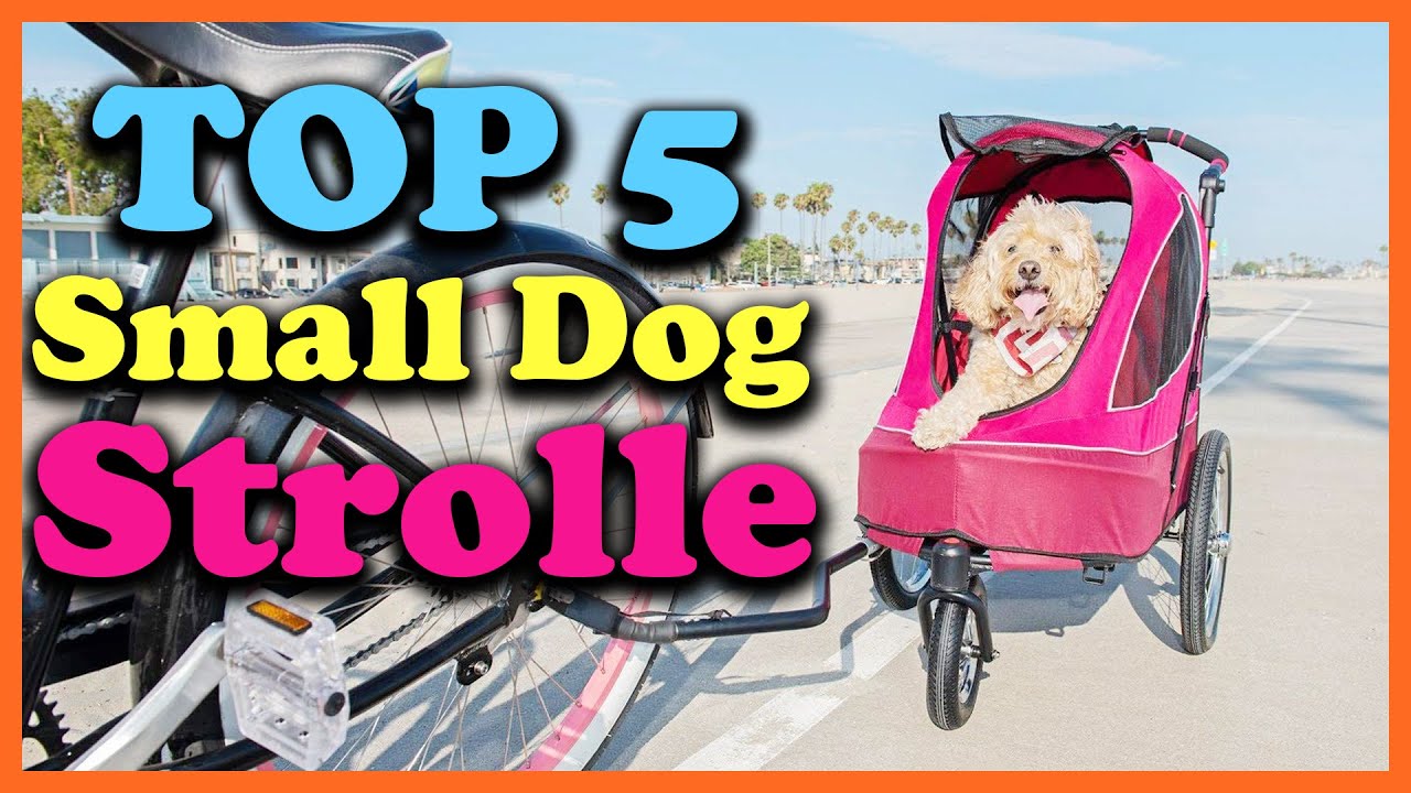 Top 5 Best Small Dog Stroller 2025