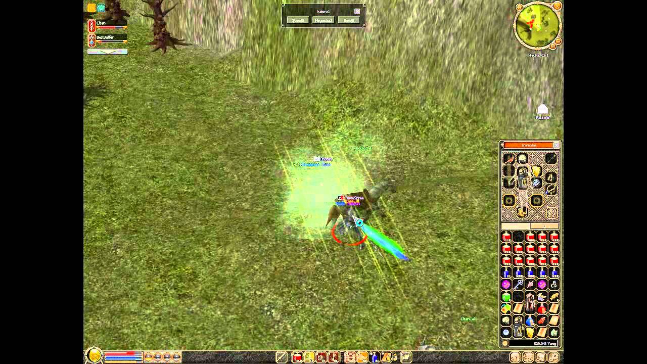 Metin2 Ro Hydra - Elzan vs kalora1