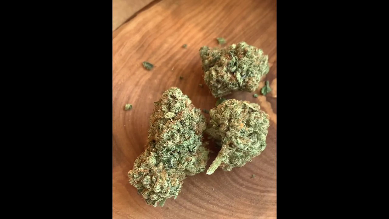 Carmel Cannabis...Animal Face