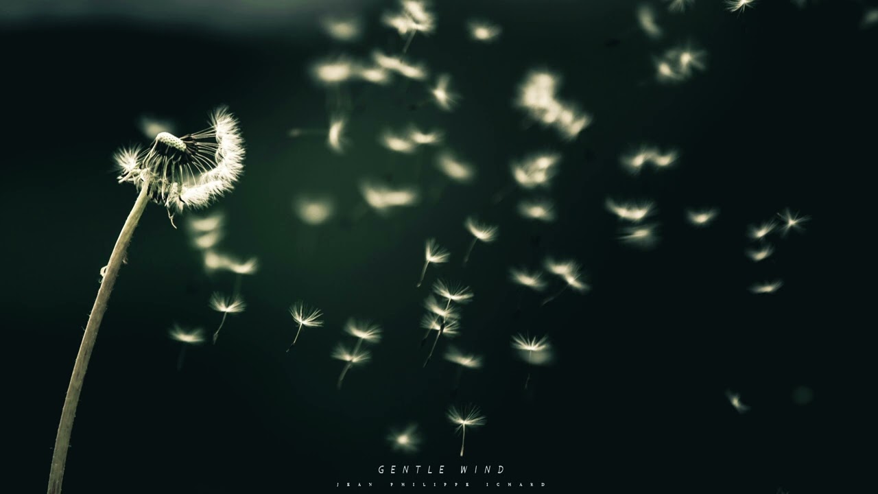 Gentle Wind - Jean-Philippe Ichard