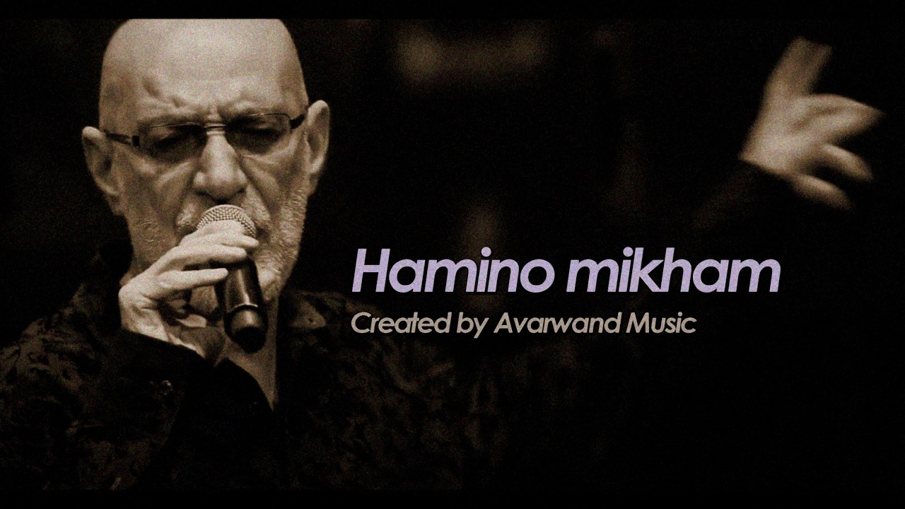 Hamino Mikham - Re-Vocal by Siavash Ghomayshi