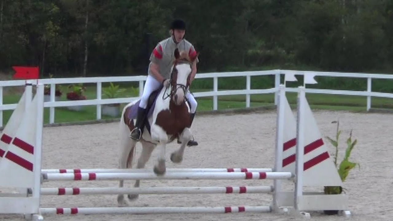 2016 08 17 Juras Zirgi Incukalns V