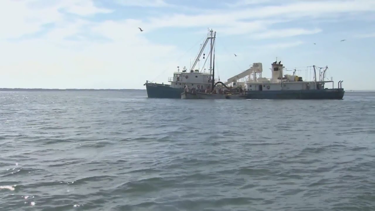 Sport fishermen latest group to call for end of menhaden fishing in Chesapeake Bay
