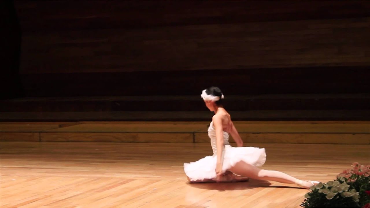 La muerte del Cisne de Saint-Saëns