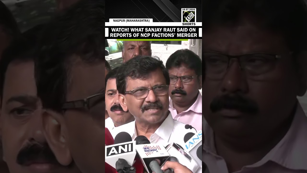 &ldquo;Talk of merger has been going&hellip;&rdquo;: WATCH! what Sanjay Raut said on reports of NCP factions&rsquo; merger