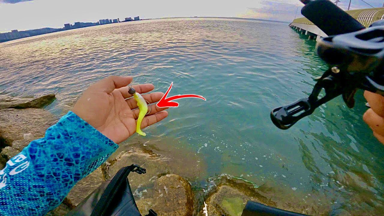 Ikan Sini GANAS dan BIJAK ! - Casting Landbased Penang