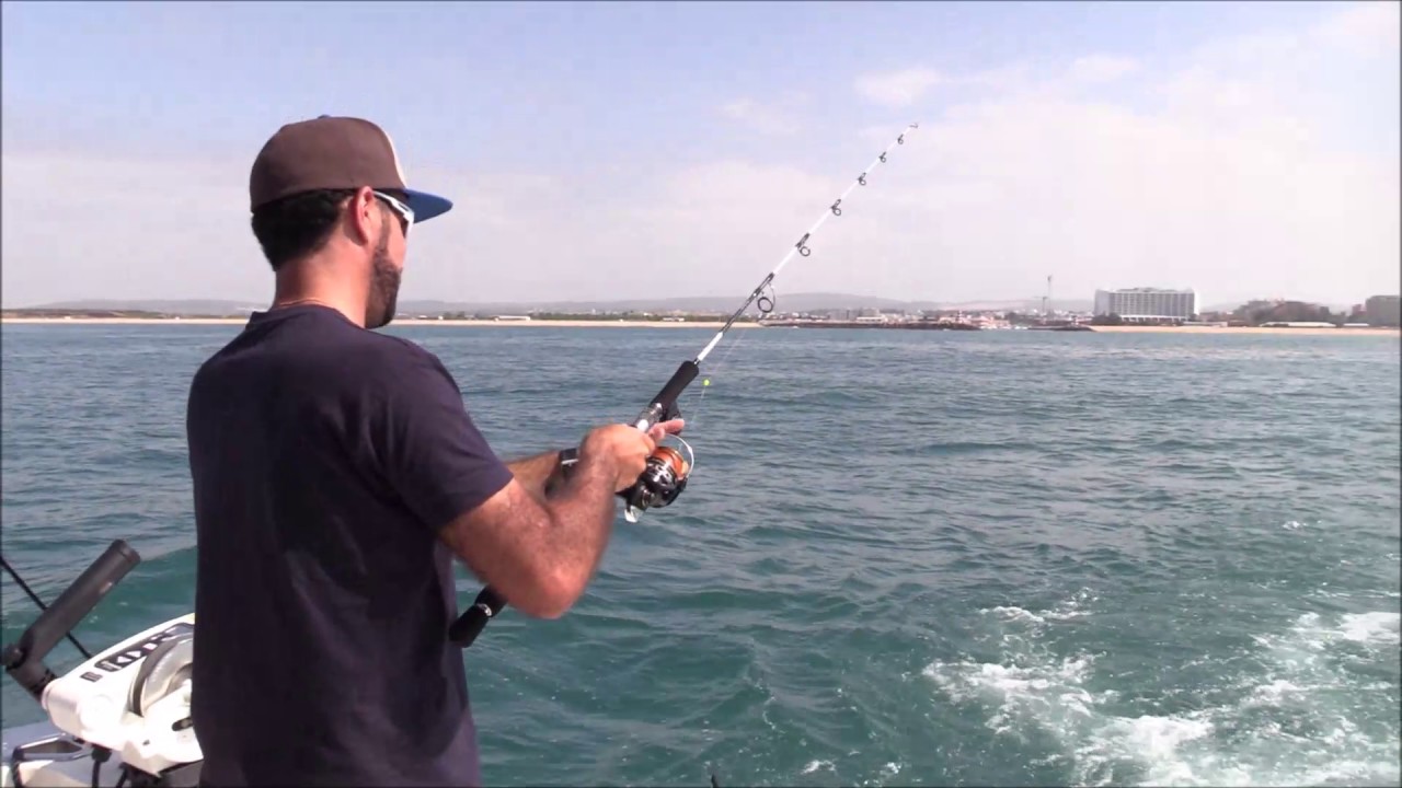 Barco Rodman 1250, da RP Paradise, equipado com motores Volvo Penta