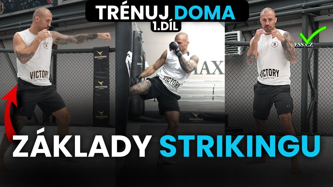1. Soukromý trénink online | MMA| Trénuj doma | Direkty, lowkicky