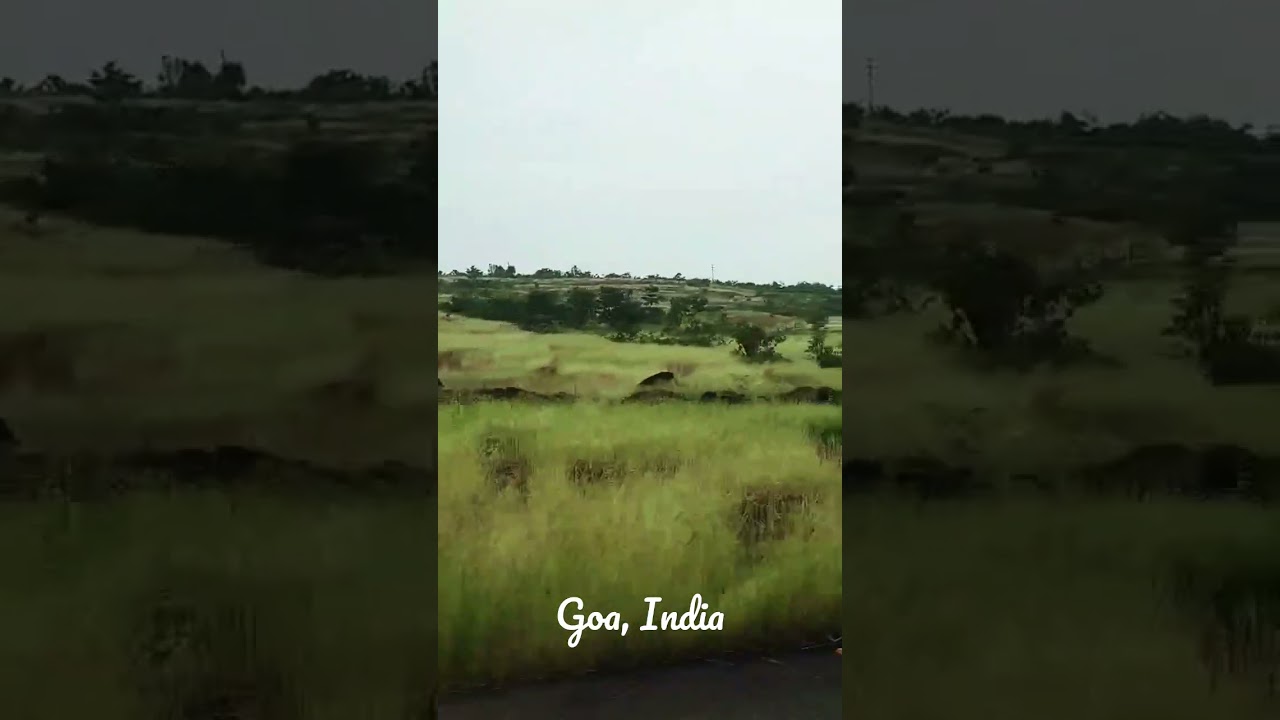 #green #goa #india #scenic #drive