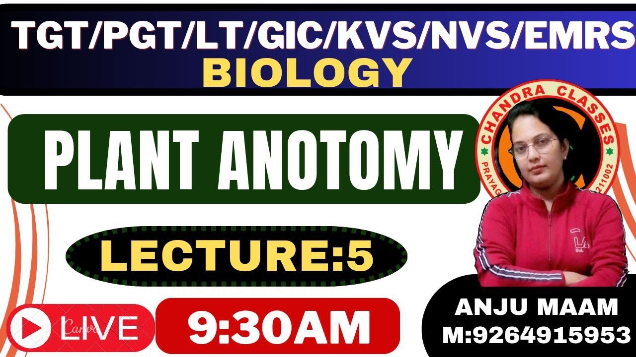 LECTURE 5  || PLANT ANOTOMY || BY ANJU MAM ||   TGT, PGT, LT, GIC, DSSSB, BIOLOGY