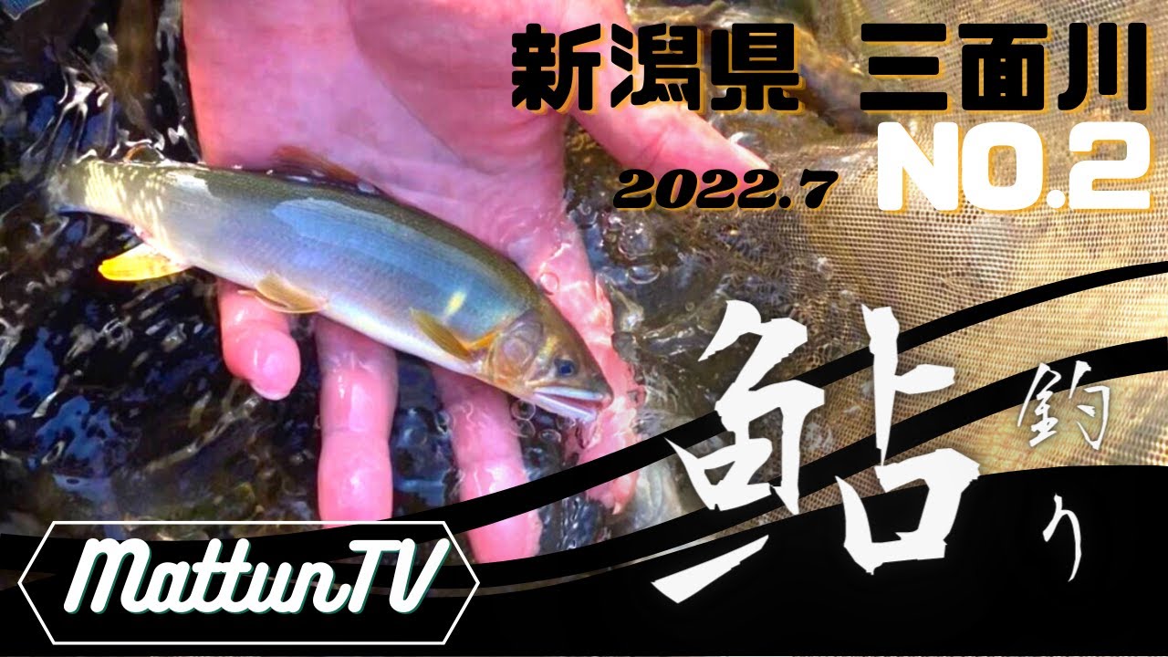 【鮎釣り】2022 新潟県三面川に鮎の友釣りに行ってみた！2日目
